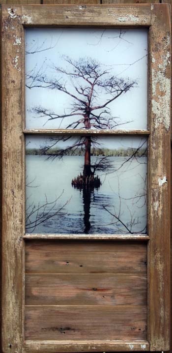 Cypress Tree Transom