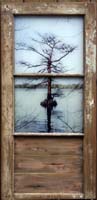 Cypress Tree Transom